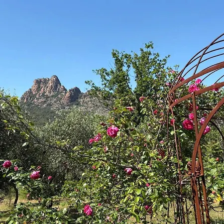 Joli Chez L'apiculteur, Piscine, Parking Roquebrune-sur-Argens
